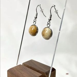 Picture Jasper Earrings